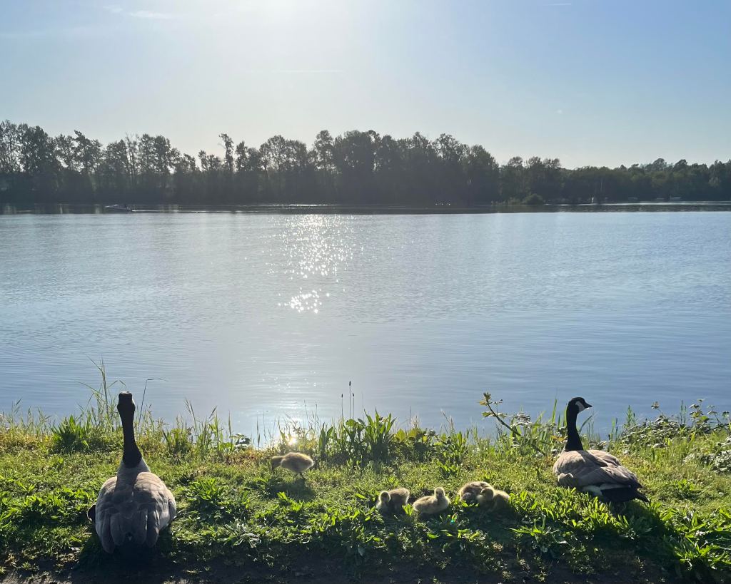 The Gift of&nbsp;Presence