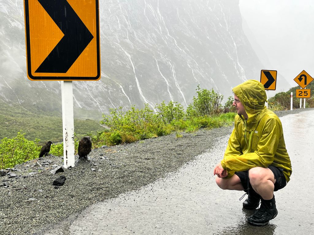 Names Offer Connection